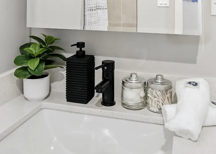 Apartment Edgewater With Free Parking Gym Modern Living Chicago